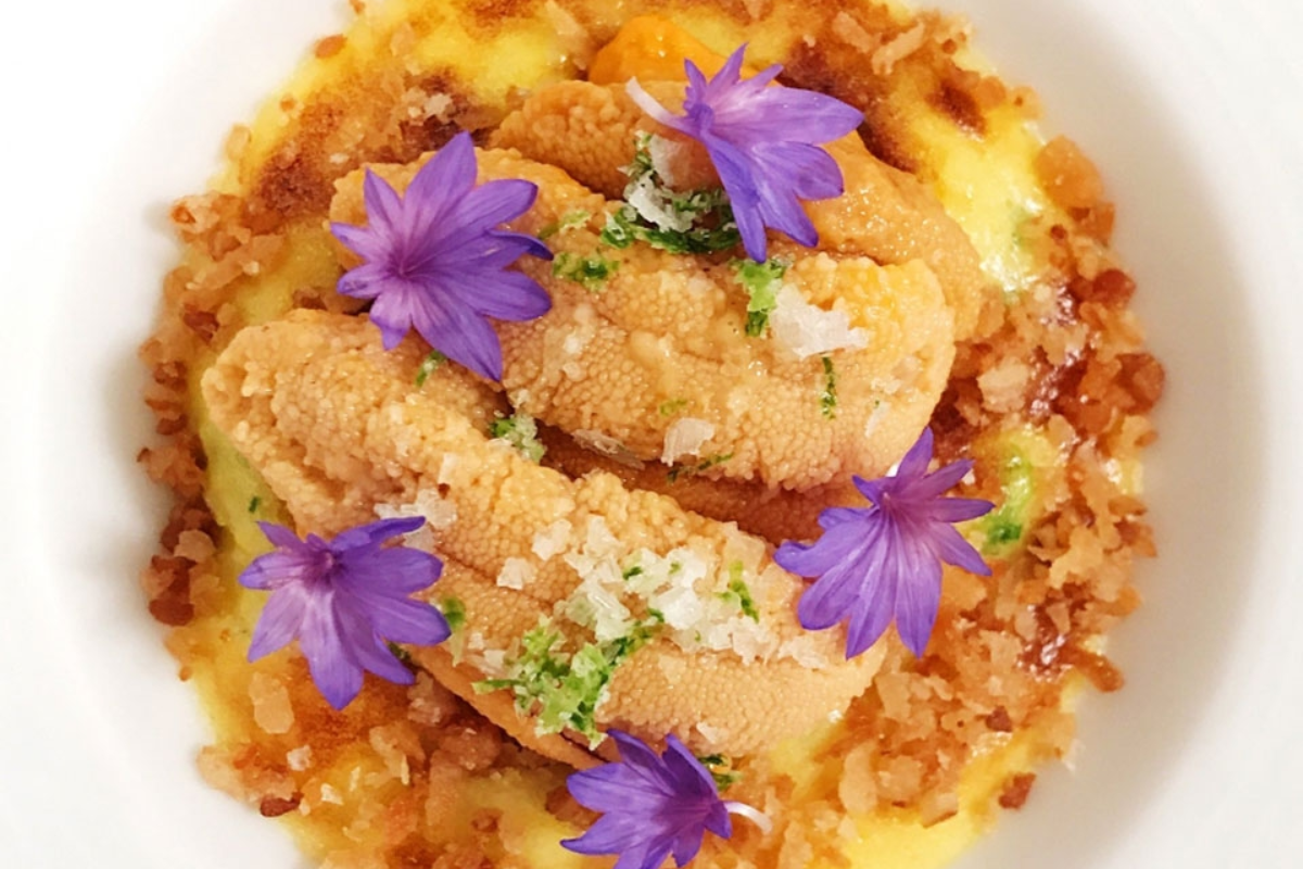Sea Urchin Rice